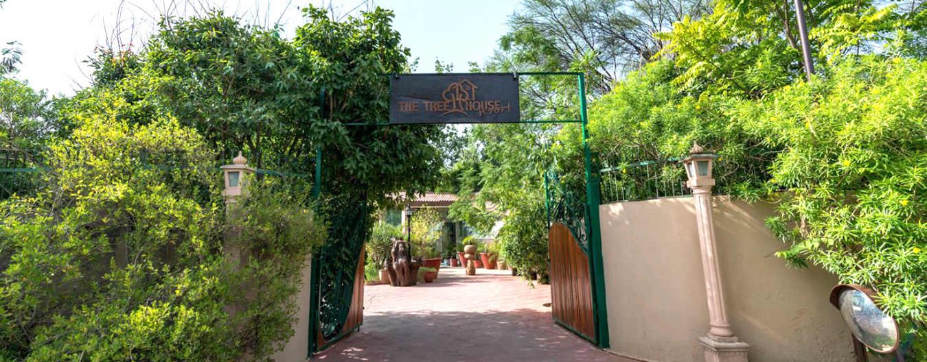 Tree House Cottages, Jaipur